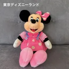 りー様専用　東京ディズニーランド　ミニーマウス　ぬいぐるみ　ピンクのミニーちゃん