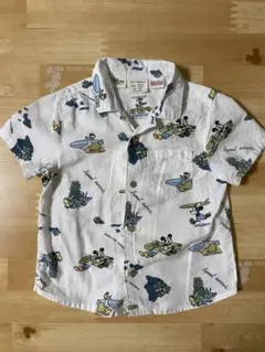 Item thumbnail for item 6084342d-afe4-451d-88a6-4f0a3d939dea