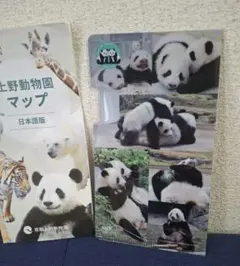 シャオシャオ＆レイレイ 松坂屋上野 クリアファイル 非売品 上野動物園