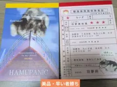 【美品・平成レトロ・激レア】カミオジャパン　ハムスター　メモ帳　２冊セット