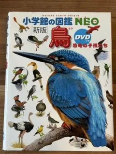 Item thumbnail for item 488c515c-9390-47b9-a3ef-f3e7d4f19f58