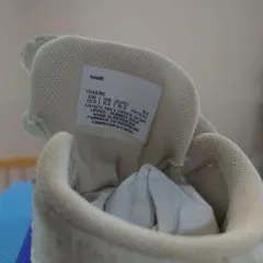 Item thumbnail for item 0fbcfa5a-8d55-4529-9ead-c5b74be7f7e2