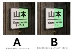 Item thumbnail for item 658103bd-b04b-46f8-911e-b55861780b6b