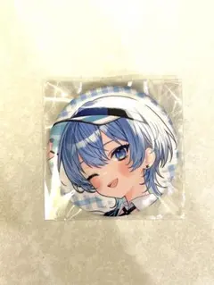 底値！星街すいせい缶バッジ➕アクリルスタンド➕ポストカードとおまけ付き❣️ 底値！星街すいせい缶バッジ➕アクリルスタンド➕ポストカードと