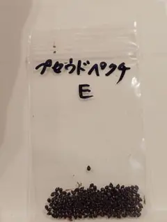 トミー様 リクエスト 2点 まとめ商品