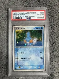 2026年最新】ミズゴロウ psa10の人気アイテム - メルカリ