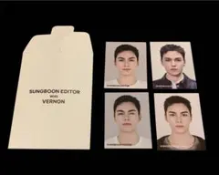 vernon バーノン 証明写真風 セブチ 成分エディター