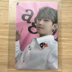 セブチ SEVENTEEN Your Choice ウォヌ ラキドロ トレカ