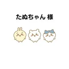 たぬちゃん様 専用ページ