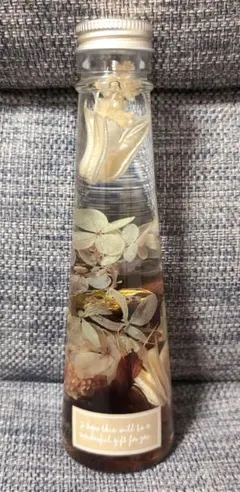 가격 인하 ☆ 하바리움