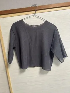 LOWRYSFARM シースルー クロップドTシャツ