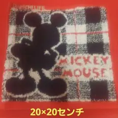 ミッキーマウス 柄ミニタオル 約34x 34cm1枚、20×20センチ2枚セット