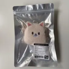 Straykids skzoo フォクシニー オリジナル バックパック - メルカリ