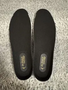 新品！MIZUNOアルファジャパン　インソールのみ25.5-26.5