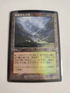 2026年最新】樹木 foilの人気アイテム - メルカリ