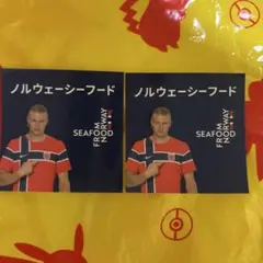 ノルウェー シーフード ハーランド サッカー ステッカー 2枚セット