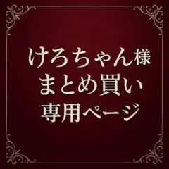 けろちゃん様 リクエスト 2点 まとめ商品