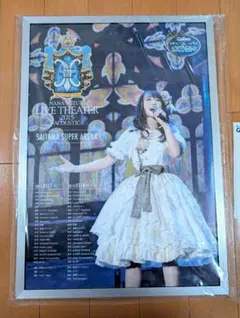 水樹奈々 LIVE記念パネル 「カルビー×水樹奈々」 キャンペーン 限定品
