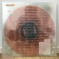 2026年最新】vaundy レコードの人気アイテム - メルカリ