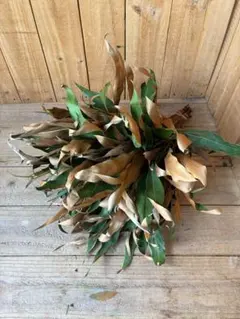 mitoi様 リクエスト 2点 まとめ商品