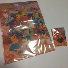 【限定】ポケモンセンターヒロシマ　ロゴピンズ　クリアファイル２枚セット