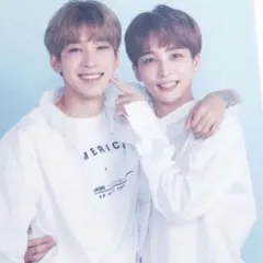 SEVENTEEN CARAT LAND トレカ ウォヌハニ ジョンハン ウォヌ