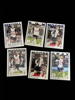 Item thumbnail for item 044c7ebd-d505-4923-b60b-7b70cbff270e