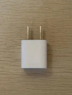 ホワイト ACアダプター 2ピンプラグ