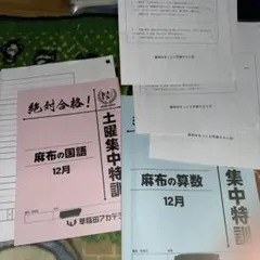 すけさん様 リクエスト 5点 まとめ商品