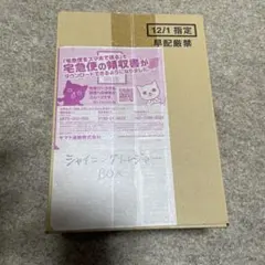 シャイニングトレジャーex box シュリンク付き