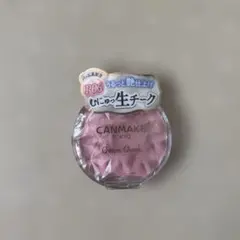 【新品未開封】キャンメイク　クリームチークP06 スウィートコーラル