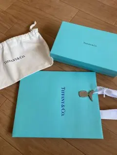 ティファニー TIFFANY&Co. ショッパーチャーム ケース&ポーチ