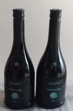 Item thumbnail for item f0781bc6-0373-4dd4-9862-60bf6668c941