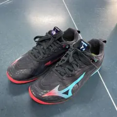 Mizuno 卓球用シューズ 25.5cm ブラック/レッド/ブルー