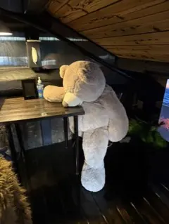 コストコ　特大 くま ぬいぐるみのサムネイル