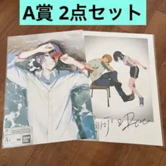 楓様 リクエスト 2点 まとめ商品