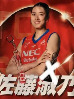 NECレッドロケッツ川崎 古賀紗理那 引退記念ユニフォーム - メルカリ