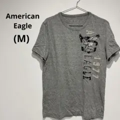 古着✨American Eagle(アメリカン・イーグル)Tシャツ グレー[M]