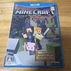 switch ソフト マインクラフト