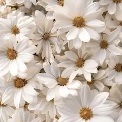 ゆうこ様 リクエスト 8点 まとめ商品