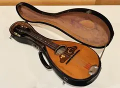 2026年最新】マンドリン ハードケースの人気アイテム - メルカリ