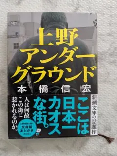 上野アンダーグラウンド 本橋信宏