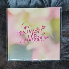 あんスタ スタフォニ 4th 入場特典 別冊パンフレット