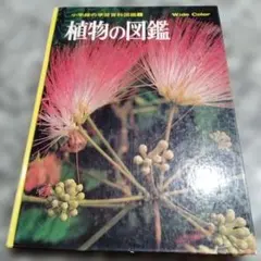 植物の図鑑 小学館の学習百科図鑑 1 Wide Color 絵本