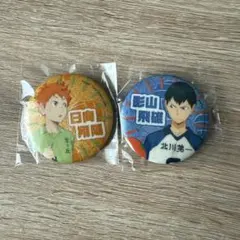 ハイキュー思い出シャイニー缶バッジ日向翔陽 影山飛雄 缶バッジ2点セット