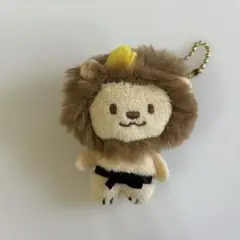 がおちゃん 武知海青メンプロ - メルカリ