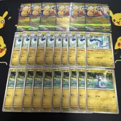 ミニリュウ、ハクリュウ、カイリュー　まとめ売り