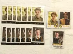 ハリーポッター　セドリック・ディゴリー　スナップ　ぱしゃこれ　実写