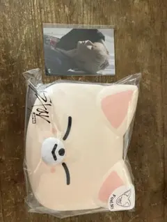 Skzoo mini box FoxI.Ny フォクシニー
