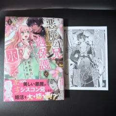 悪魔な兄が過保護で困ってます1